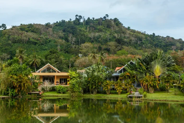 lifeco phuket