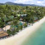 atmanjai detox